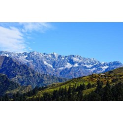 Best of Uttarakhand - 5N / 6D