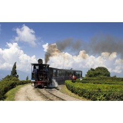Darjeeling & Gangtok - 4N / 5D