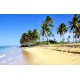 Sri Lanka with Bentota - 4N / 5D