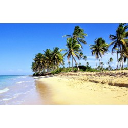 Sri Lanka with Bentota - 4N / 5D