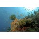 Port Blair - 3N / 4D