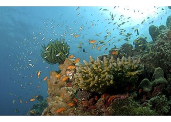 Port Blair - 3N / 4D