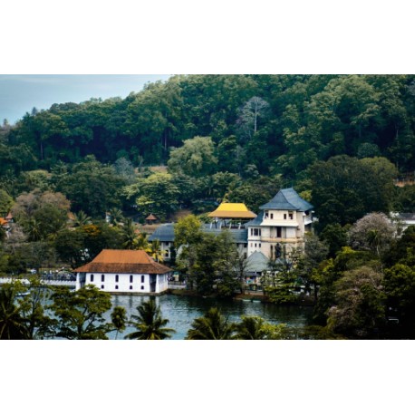 Best of Sri Lanka - 4N / 5D