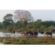 Beautiful Sri Lanka - 6N / 7D