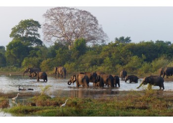 Beautiful Sri Lanka - 6N / 7D