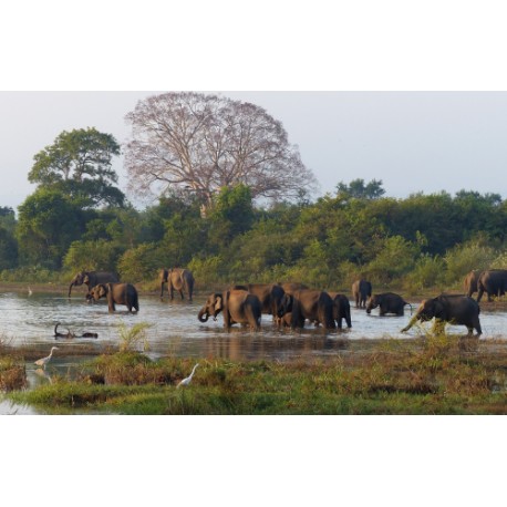 Beautiful Sri Lanka - 6N / 7D
