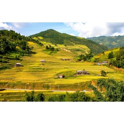 Vietnam Delights - 4N /5D
